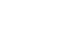 Curt Logo